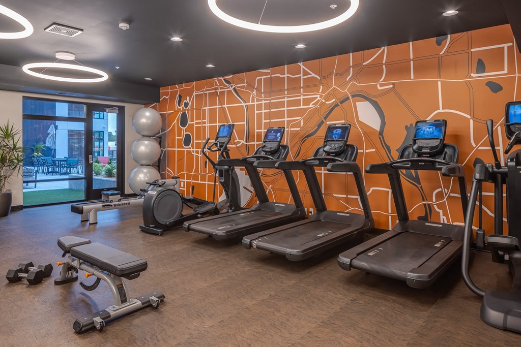 a gym with cardio equipment and a wall with a graphic of exercise balls
