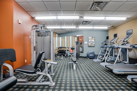 a gym with cardio equipment and weights in a treatment center