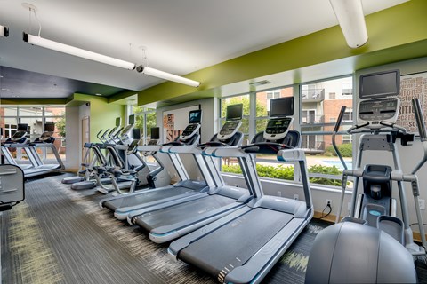 a gym with cardio equipment and a row of exercise machines