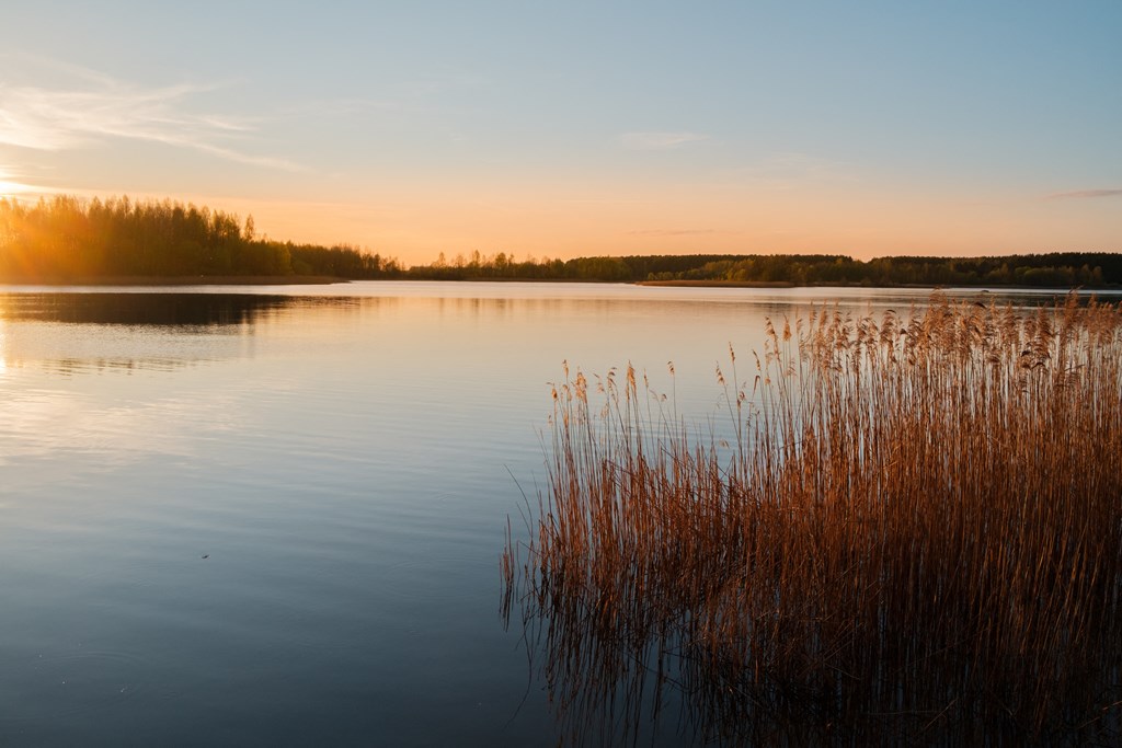 the sun sets over the water of a lake with reeds