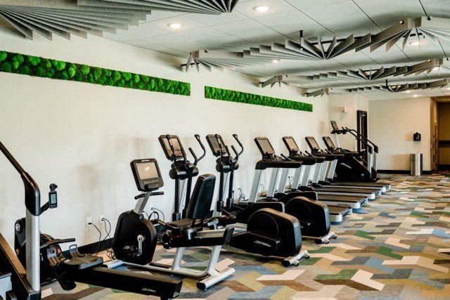 a row of cardio exercise machines in a gym