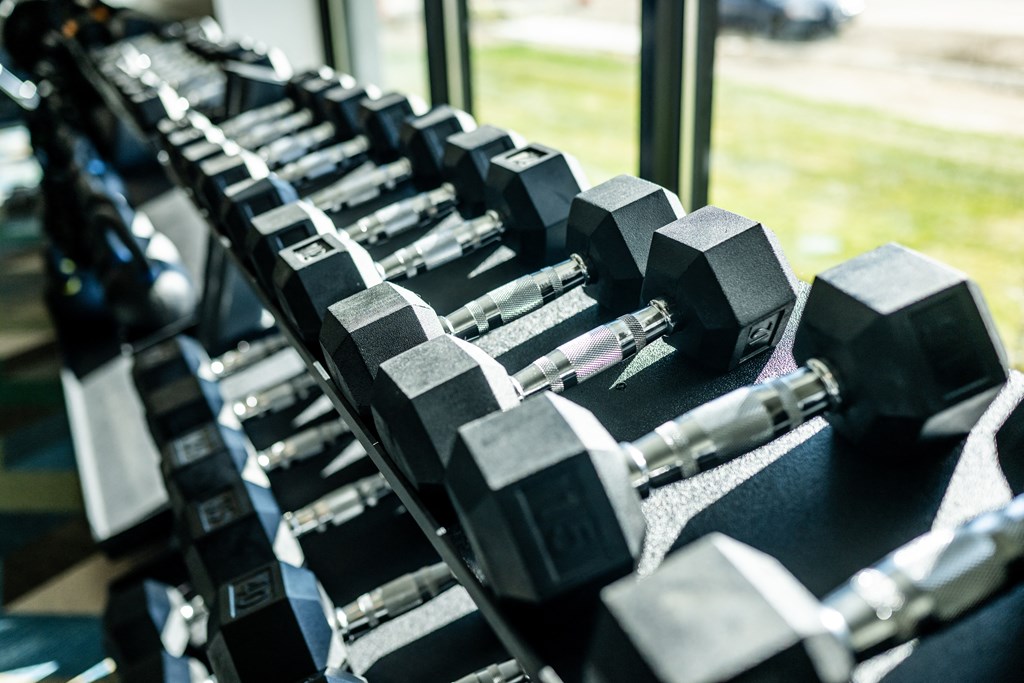 a row of weights on a rack in a gym