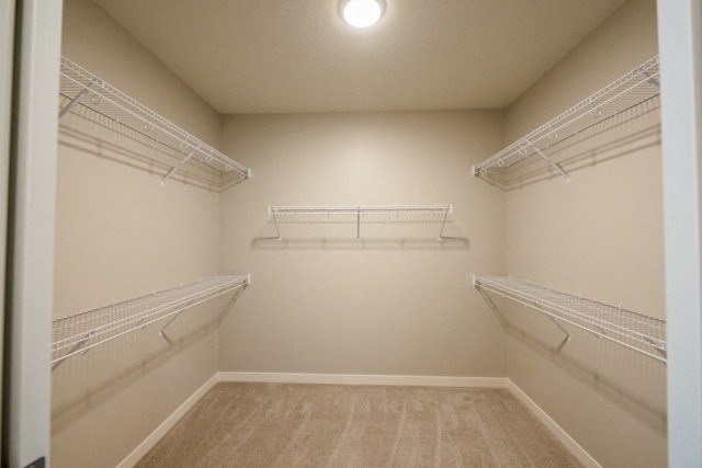 a spacious closet with two shelves and two mirrored closets