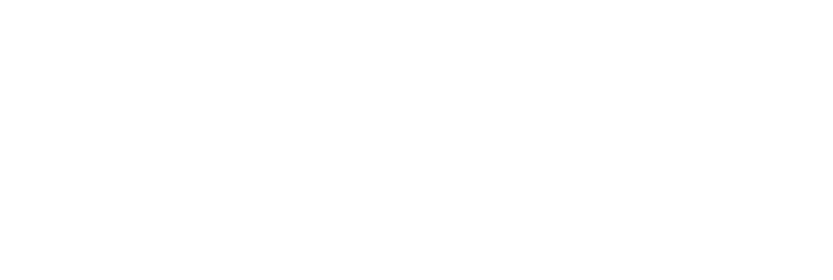 Birke logo