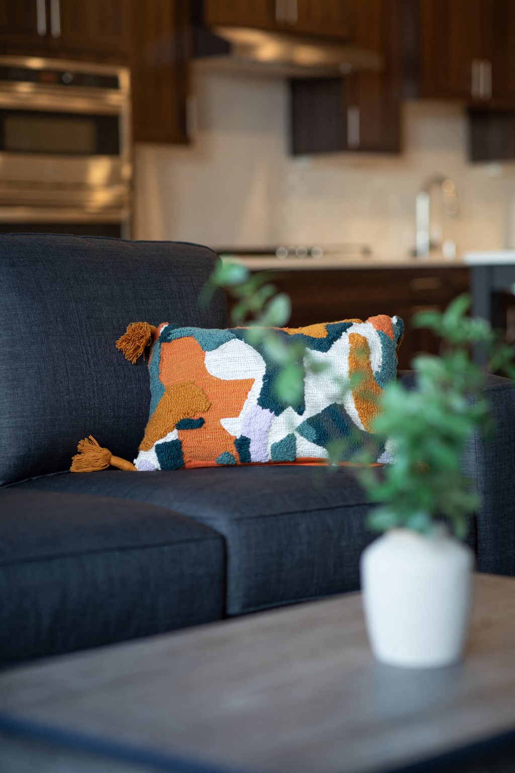 a couch with a pillow and a plant on it