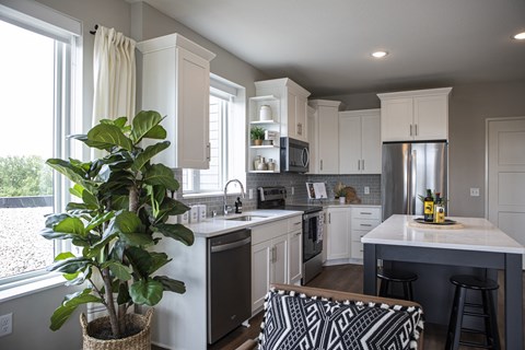 a kitchen with white cabinets and a large potted plant