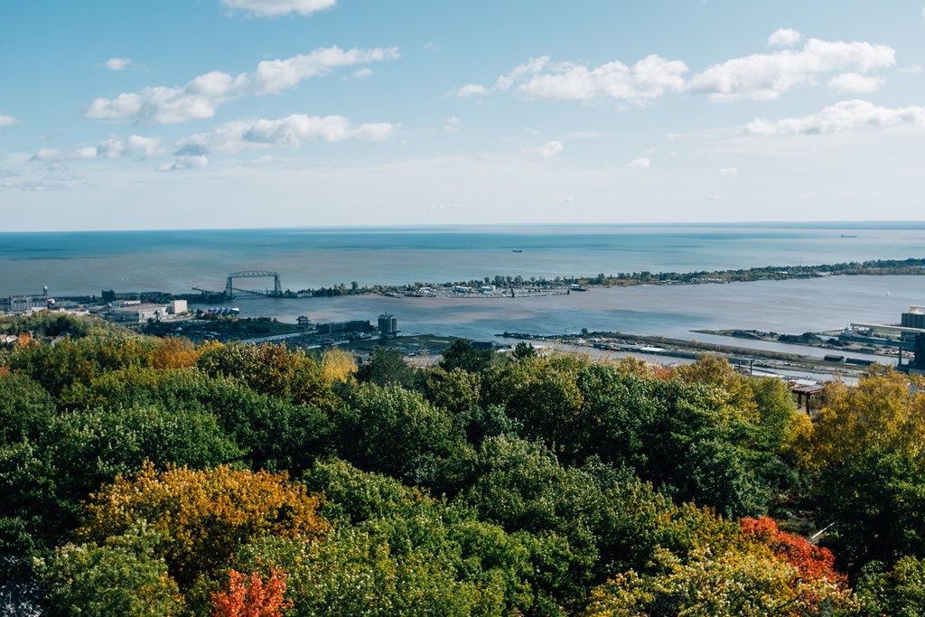 a view of a city and the ocean from a tree covered hill