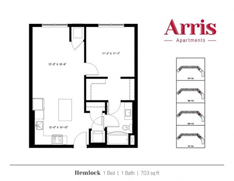 A floor plan for a 703 sq ft apartment with one bed and one bath.