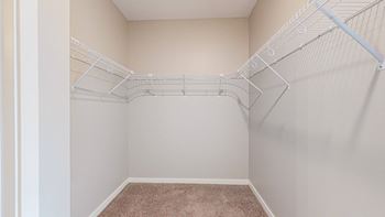 Empty white closet with a carpeted floor.