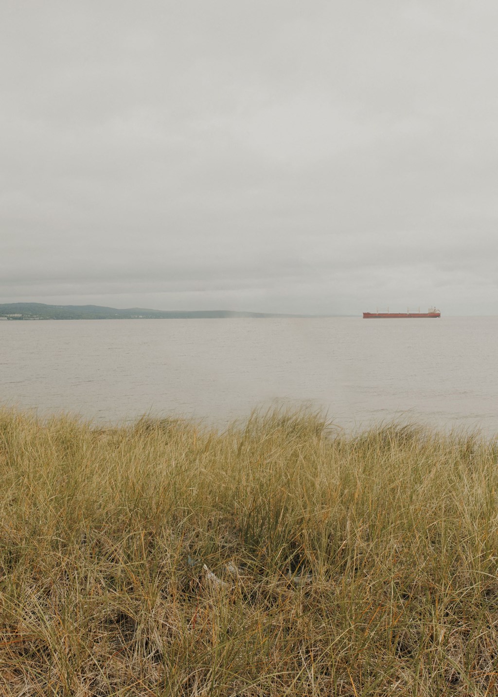 a ship on the water near a field of grass