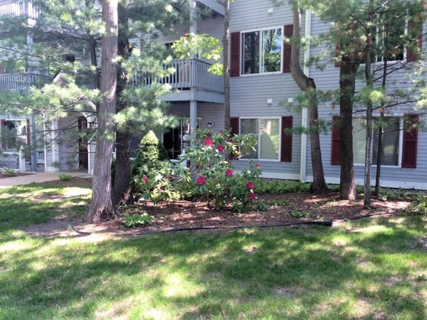 a yard with trees and flowers in front of a house