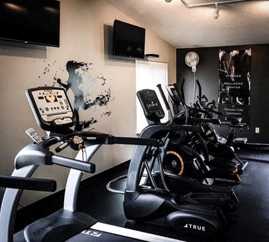 a workout room with a treadmill and a tv