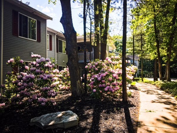 the side of a house with trees and flowers