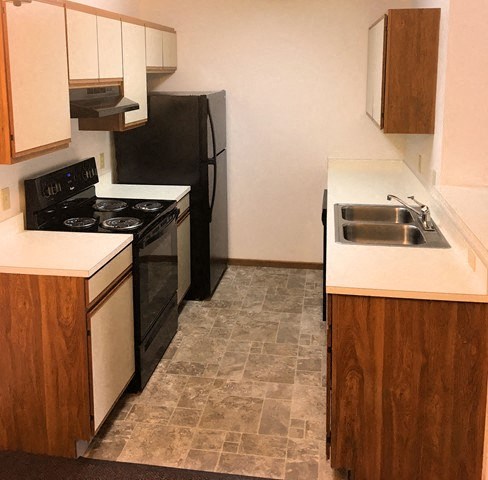 a kitchen with a black refrigerator and a sink