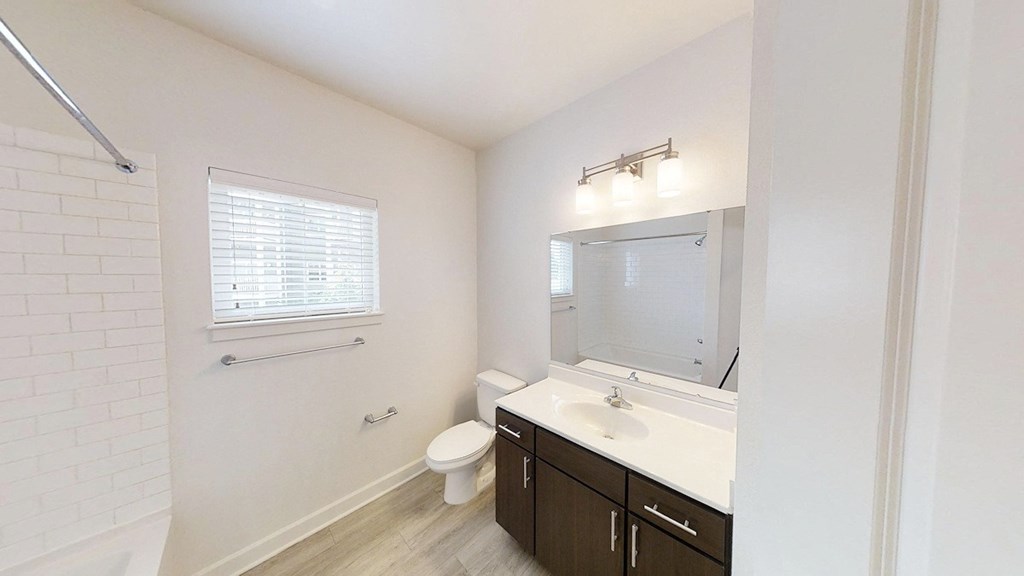 a bathroom with a sink and a toilet and a mirror