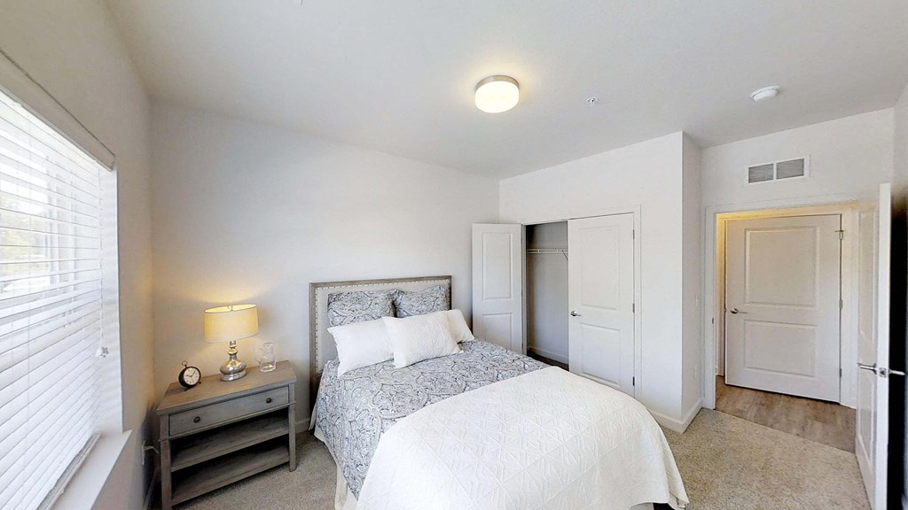 a bedroom with a bed and a closet