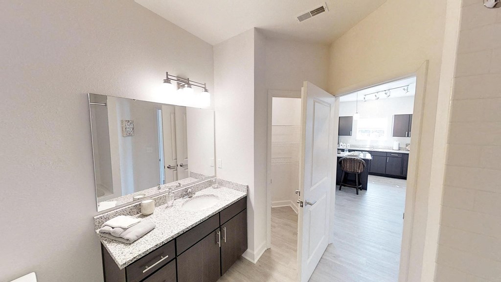 a bathroom with a sink and a mirror