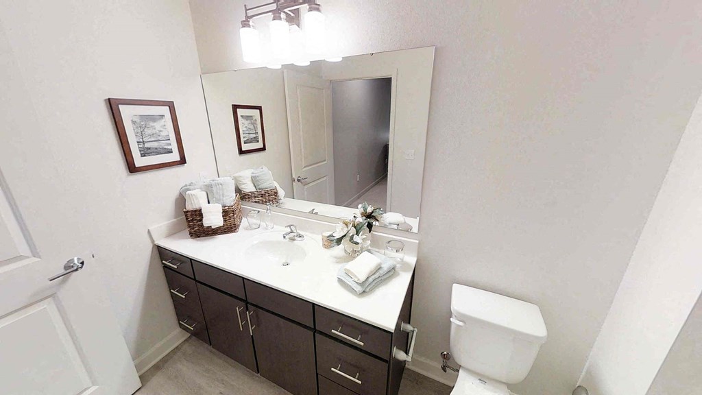 a bathroom with a sink and a toilet and a mirror