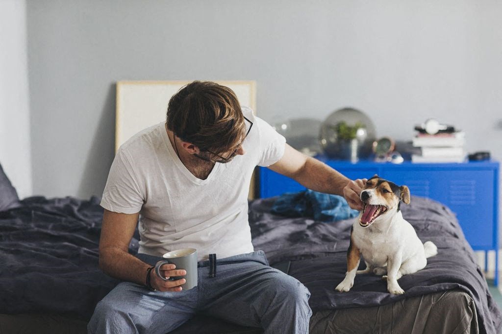 Playing With Dog at The Palms on Main, Columbia, SC, 29201