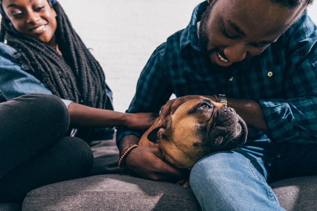 Man And Woman Spending Time With Their Dog at The Palms on Main, South Carolina, 29201