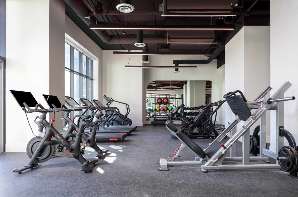 A gym with a variety of exercise equipment including treadmills, stationary bikes, and weight machines.