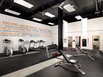 a wall with a quote in the gym