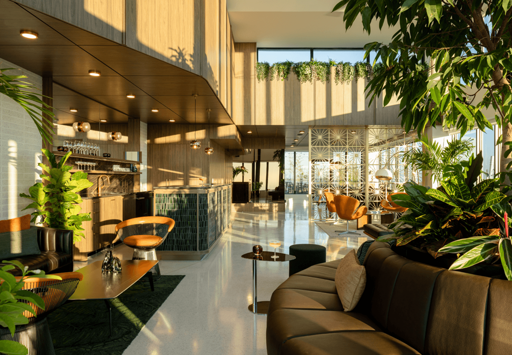 A modern interior with a long brown sofa and a green plant.