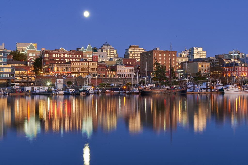 a city at night with the moon above it