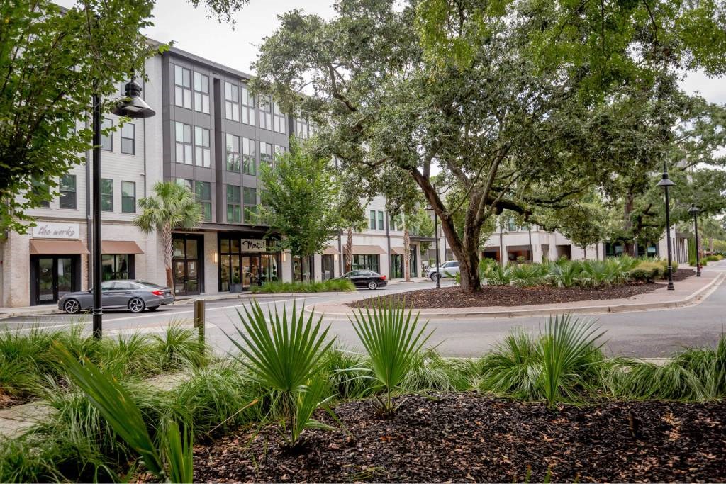 A tree in front of a building with a car parked in front of it.