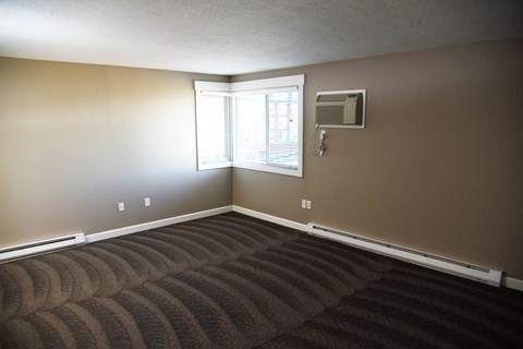 a living room with a carpet and a window
