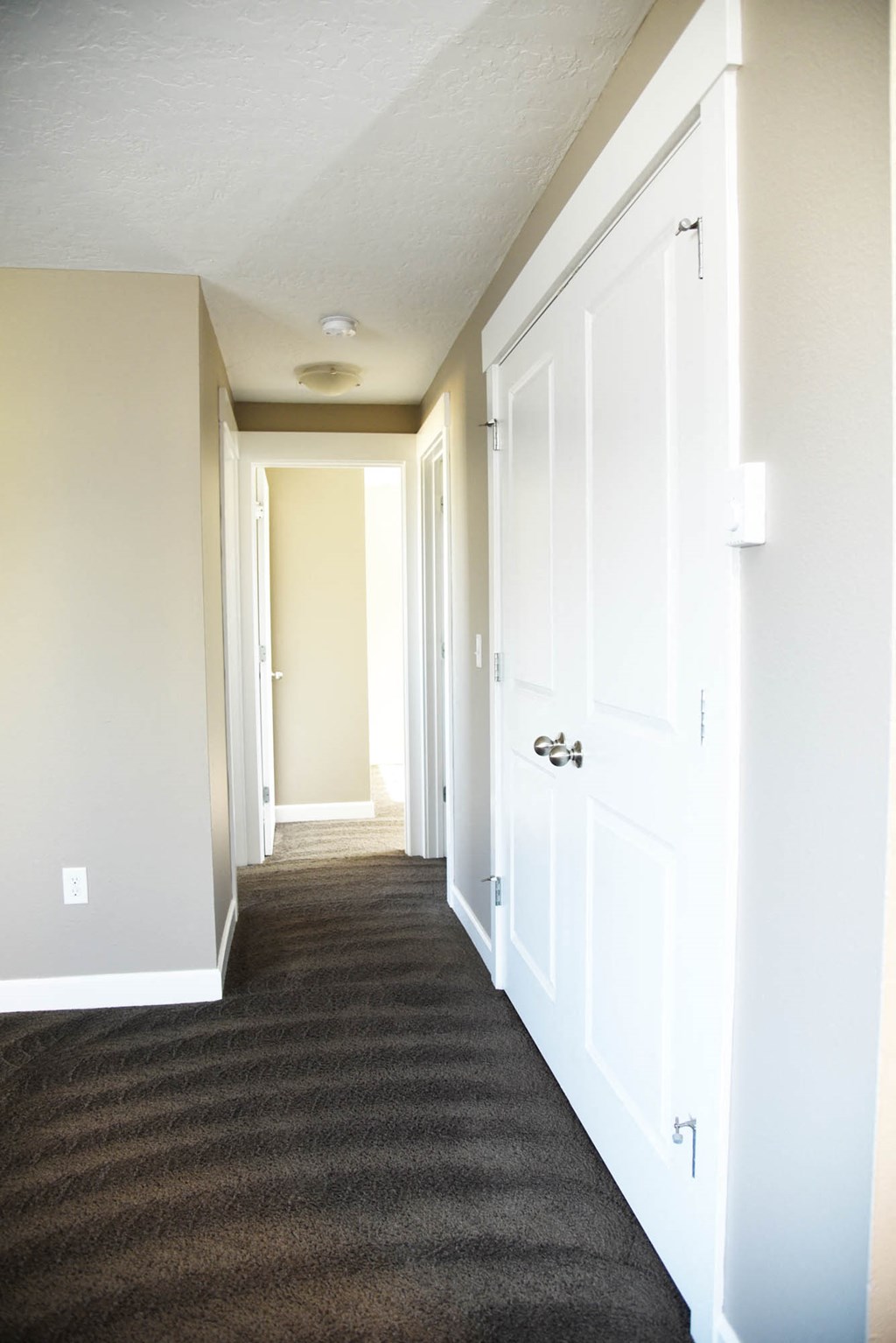 Plush Carpeting at Railhead Apartments, Washington