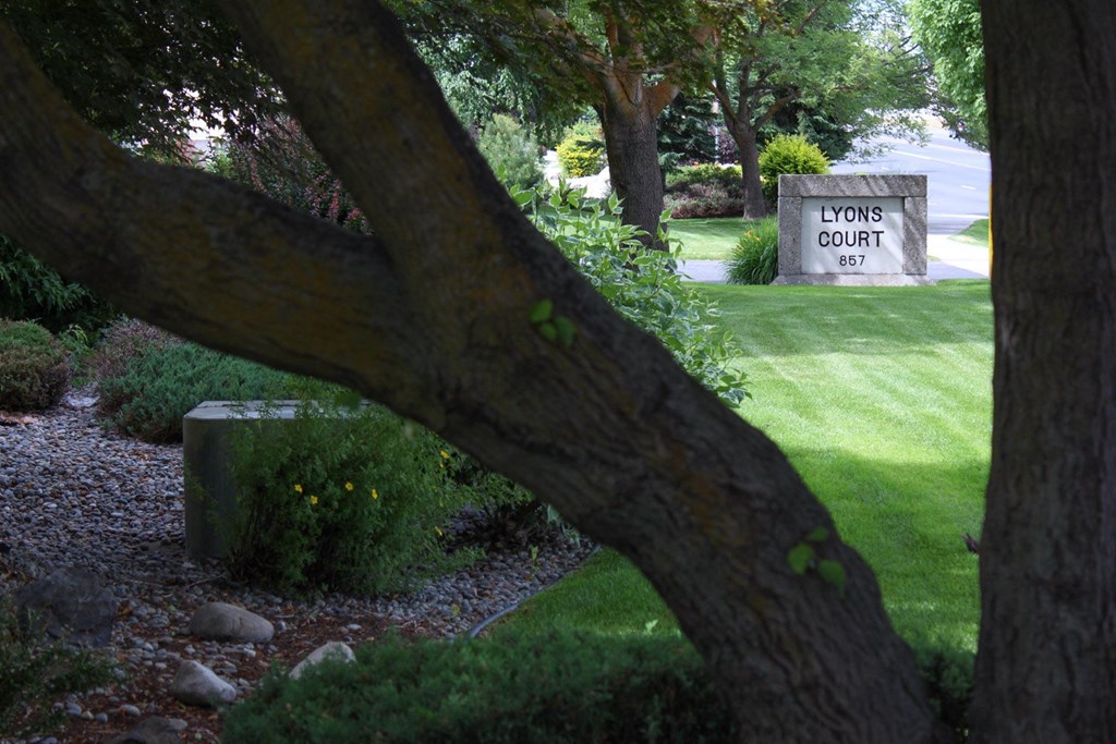 a tree in front of a yard with a sign that reads lions court