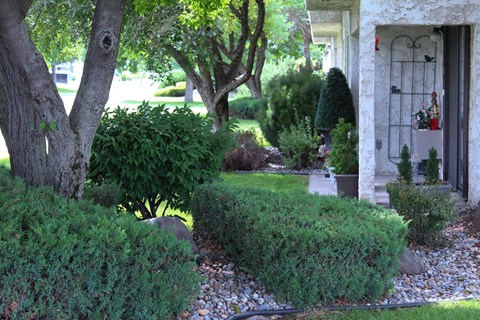 A tree is in front of a house.