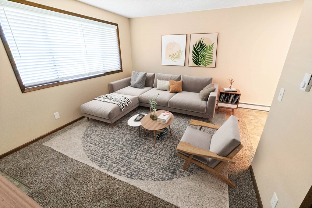 A living room with a grey couch, a coffee table, and a rug.