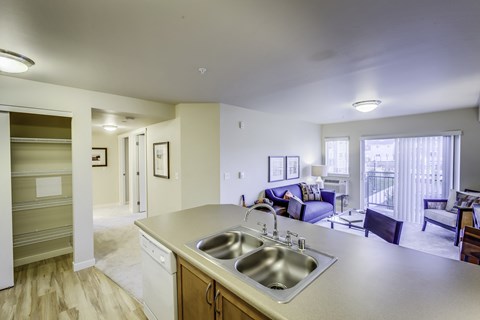 A kitchen with a sink and a counter.