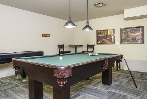 A pool table with a green cloth and a skull on it.