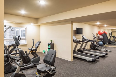A gym with treadmills, exercise bikes, and other equipment.