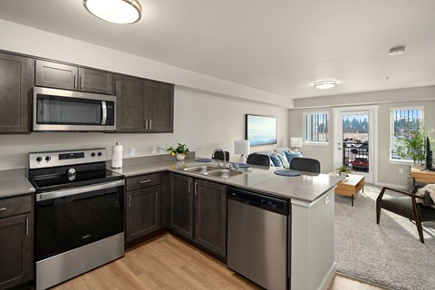 kitchen and living room
