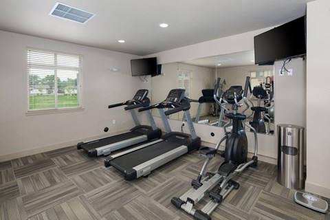 A well-equipped gym with treadmills, elliptical machines, and a television.