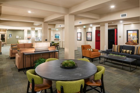 A round table with a green plant on it is surrounded by chairs in a spacious room.