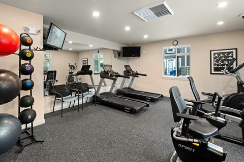 A gym with treadmills, exercise balls, and weights.