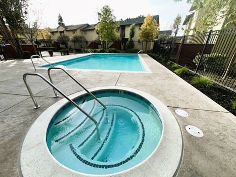 Pool and Spa