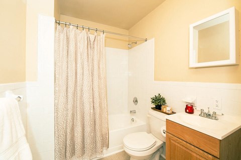 a bathroom with a white toilet next to a bathtub with a shower curtain