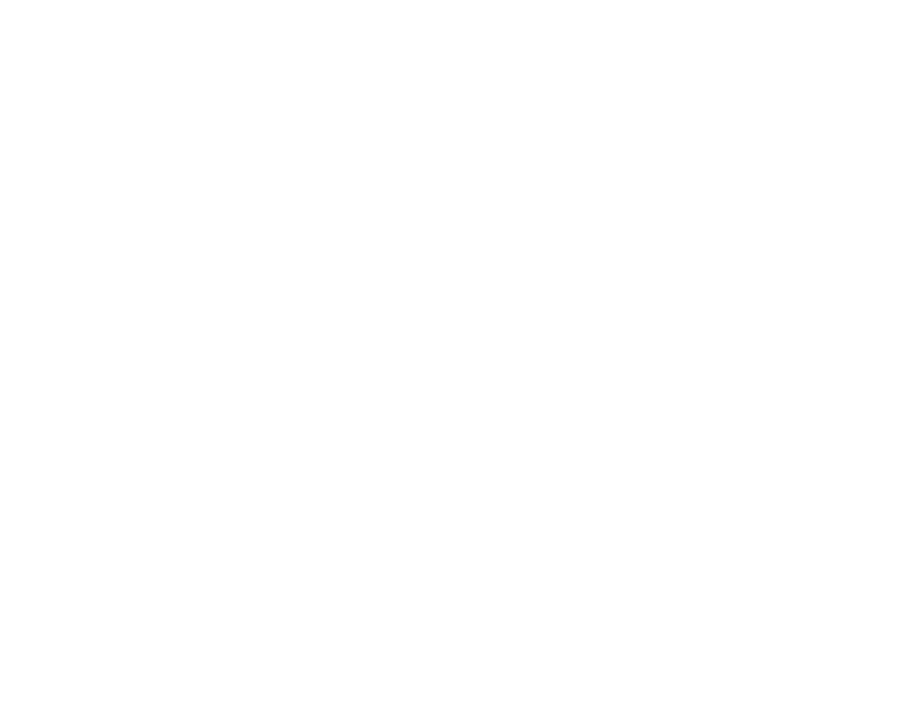 A logo with the text "SOLO ON CHESTNUT" in white on a green background.