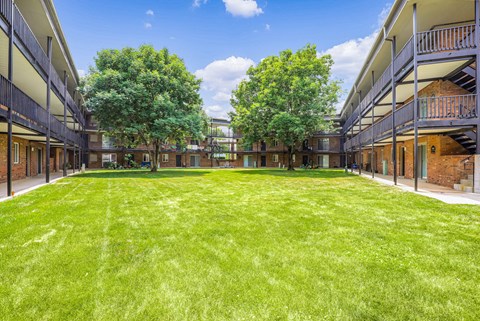A large grassy area in the middle of a courtyard surrounded by buildings.