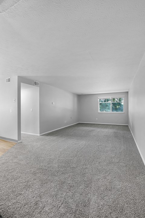 A room with a grey carpet and a window with a view of trees.