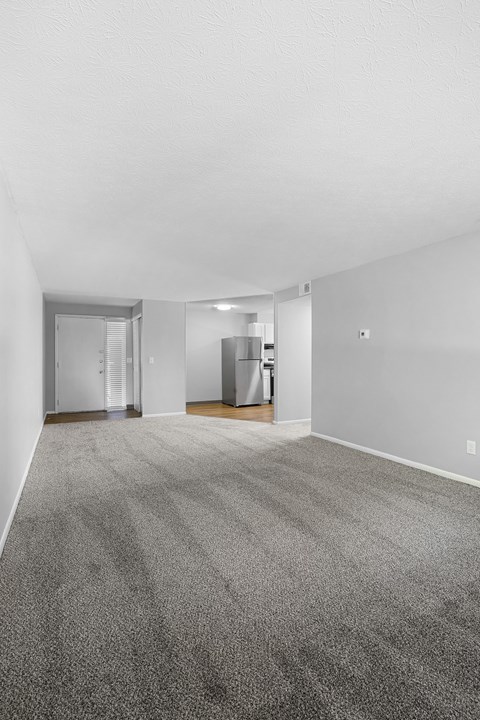A room with a grey carpet and white walls.