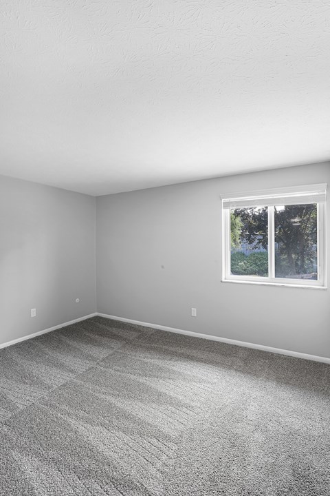A room with a window and carpeted floor.