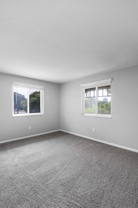 A room with grey carpet and two windows.