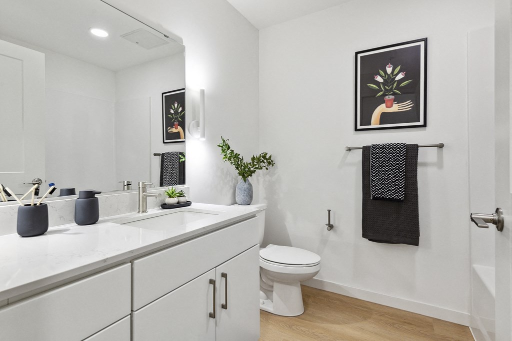 a bathroom with a sink and a toilet and a mirror